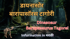 Read more about the article Dinasoaur Barapasaurus Tagorei | डायनासोर बारापासॉरस टागोरी 